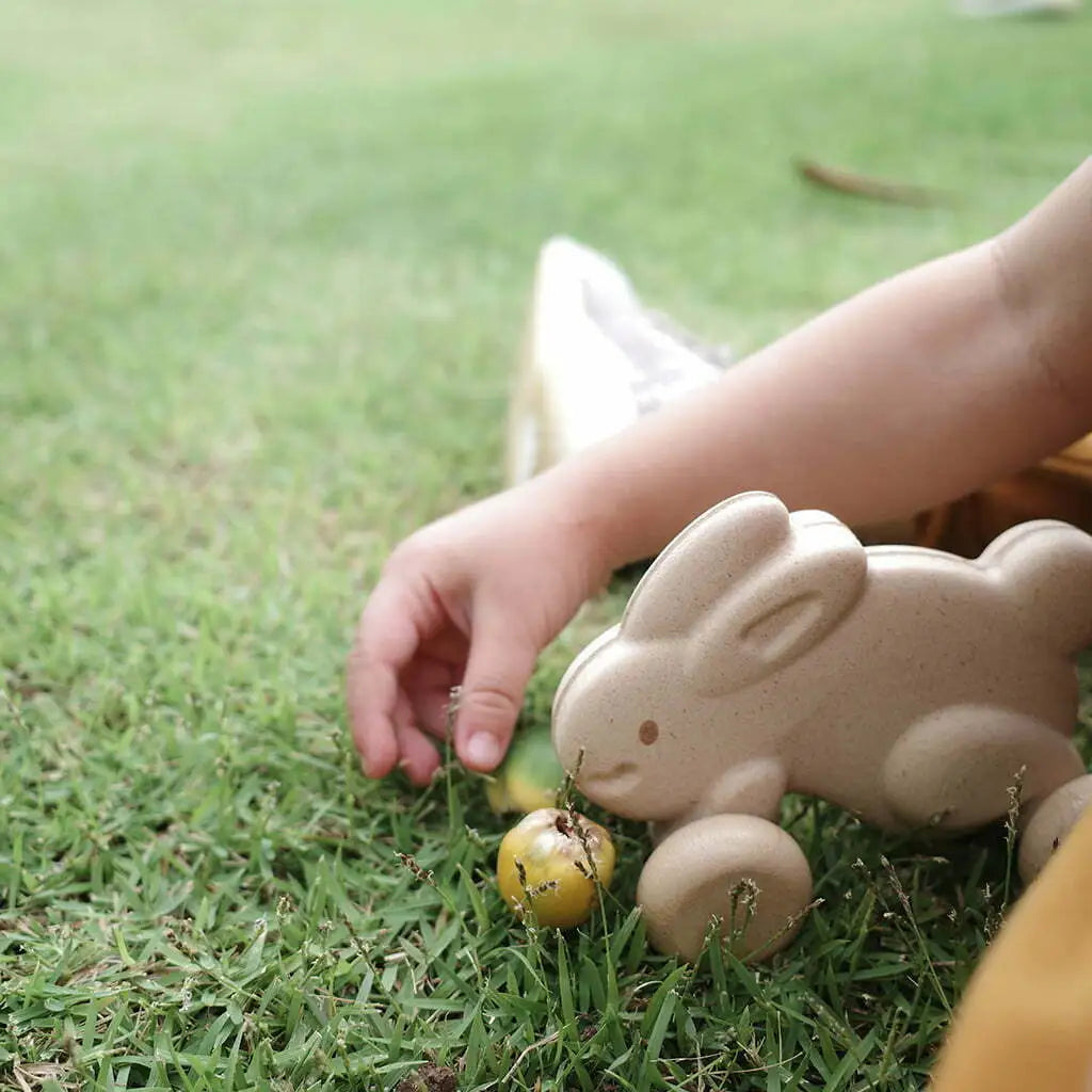 Plantoys Push Along Bunny - White